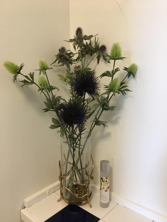 The Bothwell Bonnie Thistle Διαμέρισμα Εδιμβούργο Εξωτερικό φωτογραφία
